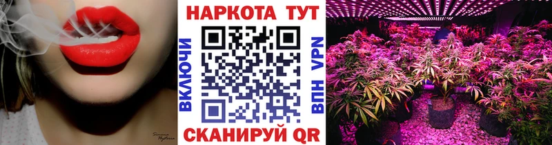 Что такое Судак A PVP  Псилоцибиновые грибы  Кетамин  Марихуана  COCAIN 