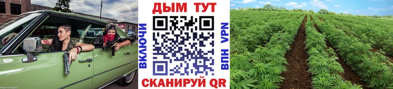 МАРИХУАНА Amnesia Судак