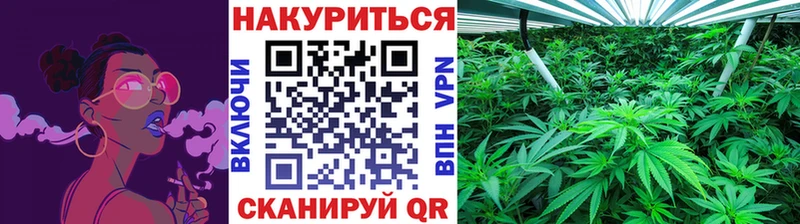Шишки марихуана план  Судак 
